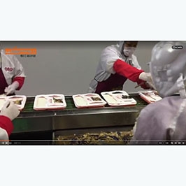 南寧高鐵青青草成人网站